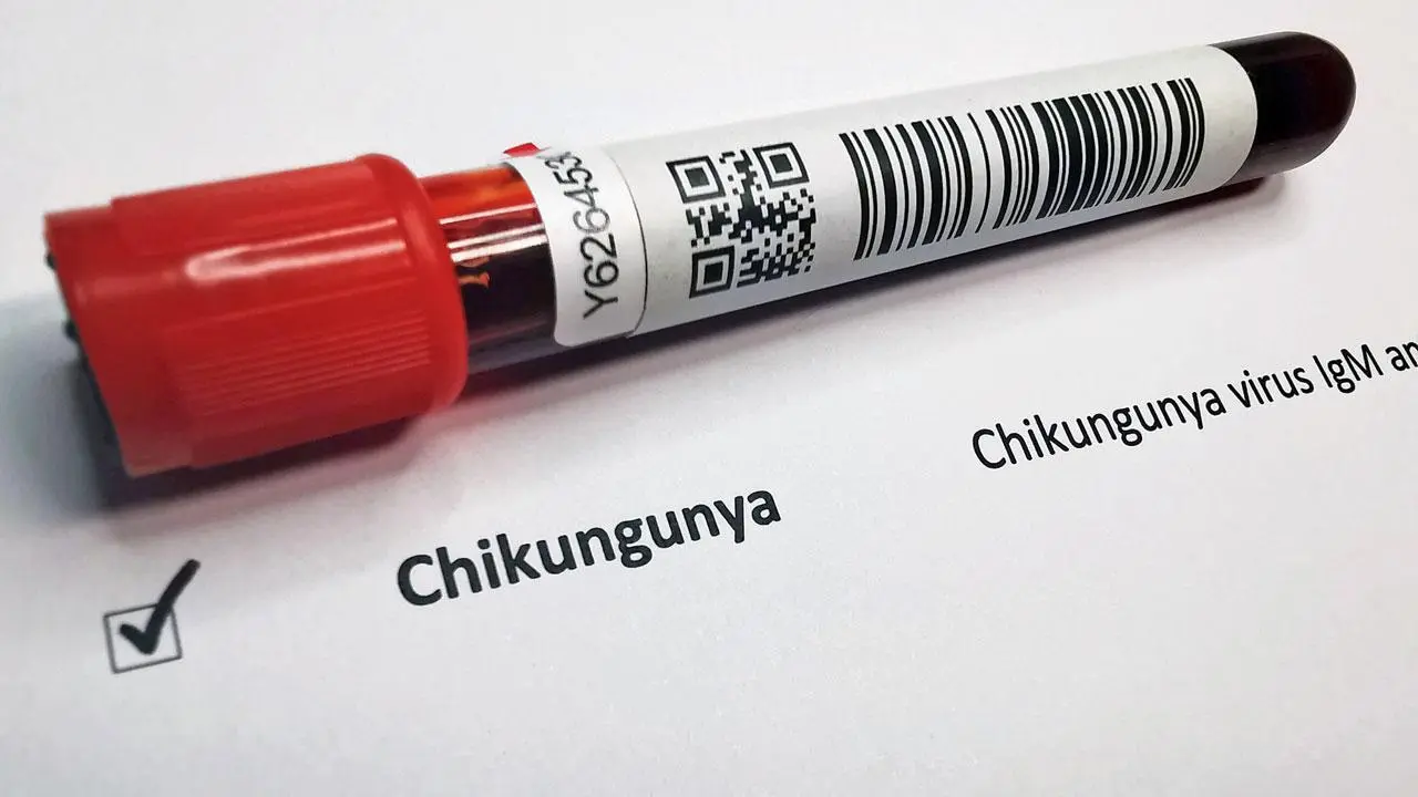 Mumbai LIVE: Chikungunya cases go up by 185 in Maharashtra during Jan-April
