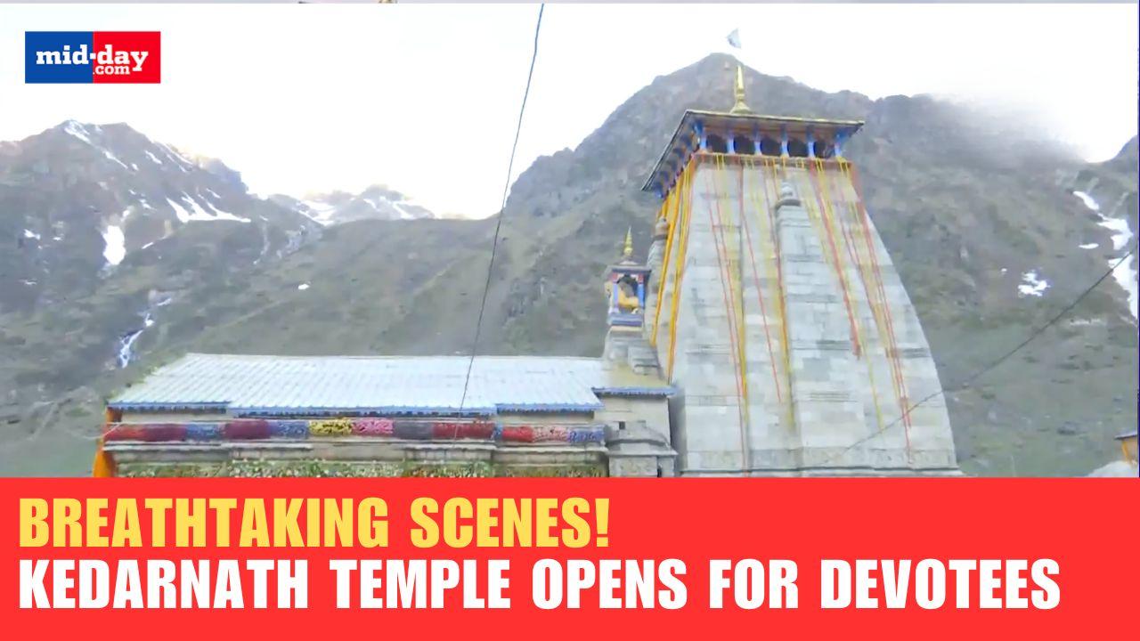 Kedarnath Temple reopens with grandeur, flower petals welcome devotees - WATCH